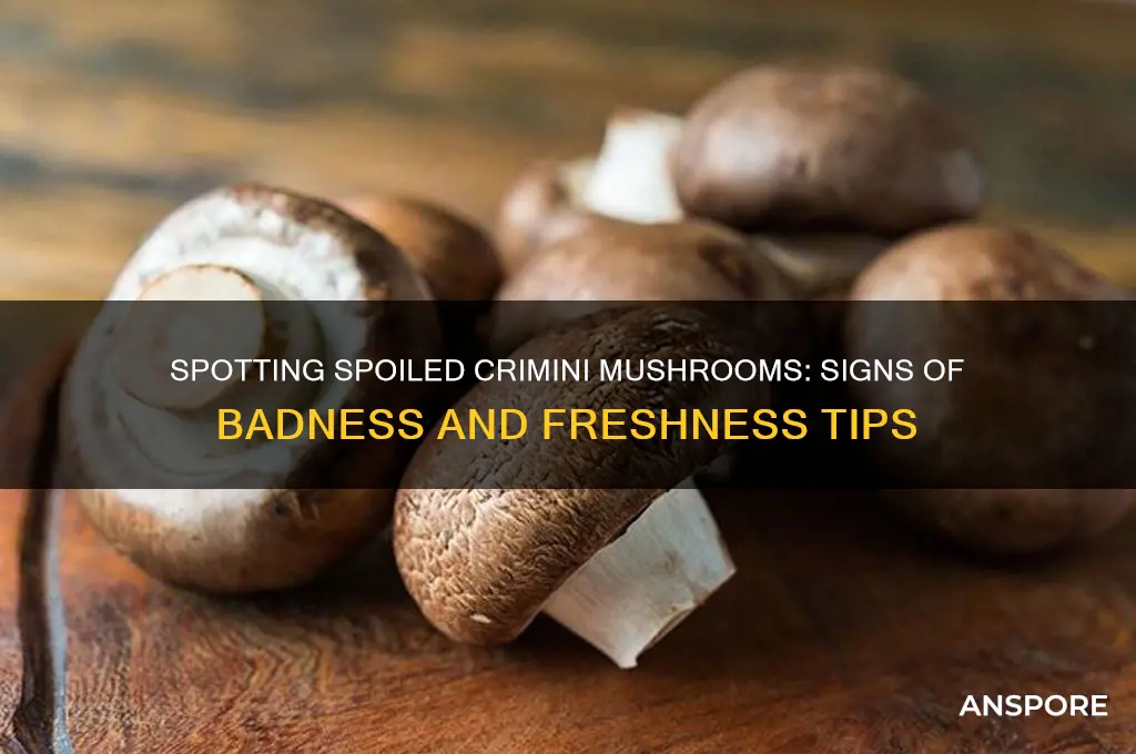how can you tell if crimini mushrooms are bad