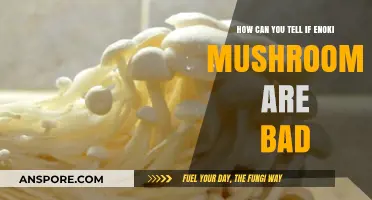 How to Spot Spoiled Enoki Mushrooms: Signs and Tips