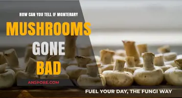 How to Spot Spoiled Monterey Mushrooms: Signs of Decay