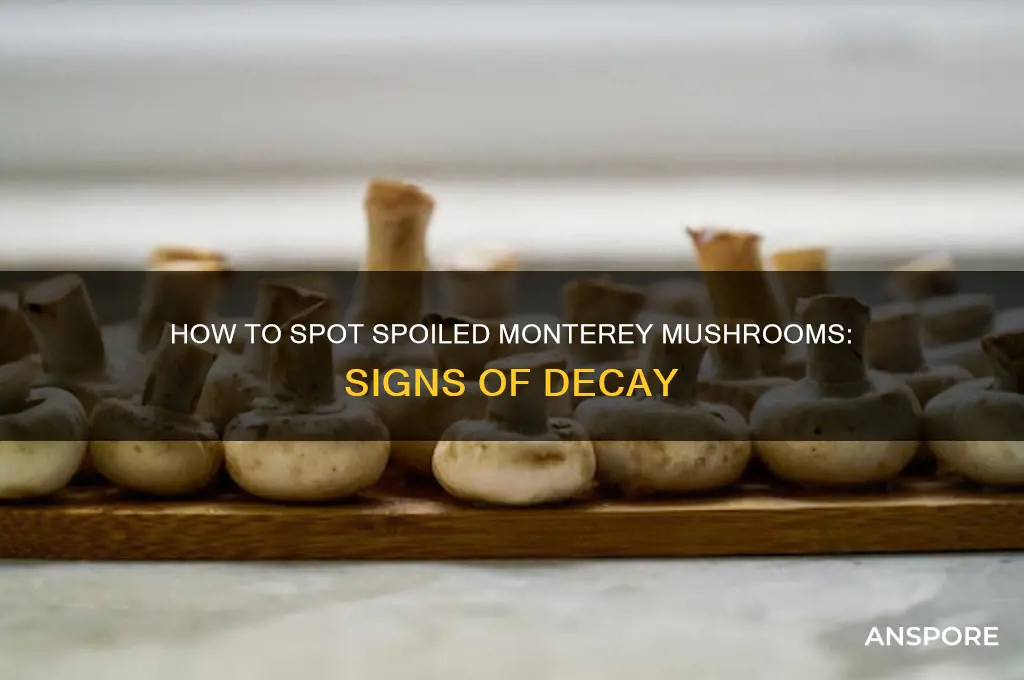 how can you tell if monterary mushrooms gone bad