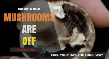 Spotting Spoiled Mushrooms: Key Signs They’re Past Their Prime