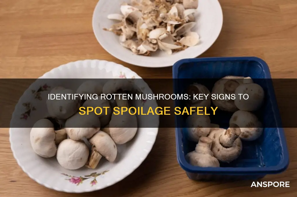 how can you tell if mushrooms are rotten
