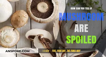 Identifying Spoiled Mushrooms: Key Signs to Watch For