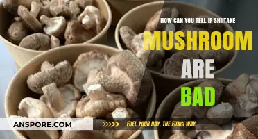 Spotting Spoiled Shiitake: Signs Your Mushrooms Have Gone Bad