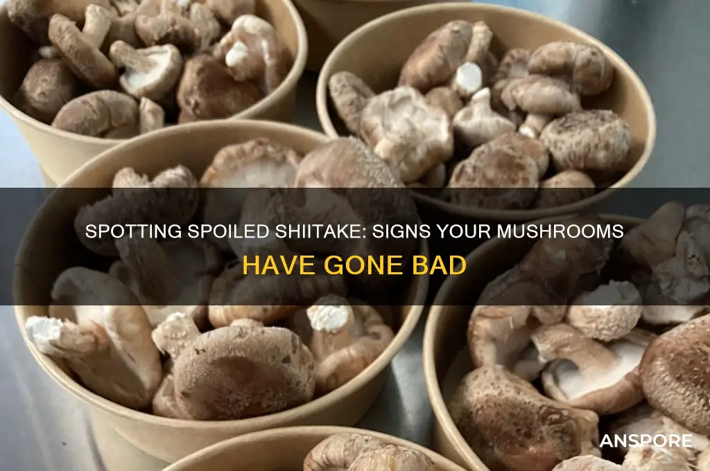 how can you tell if shiitake mushrooms are bad