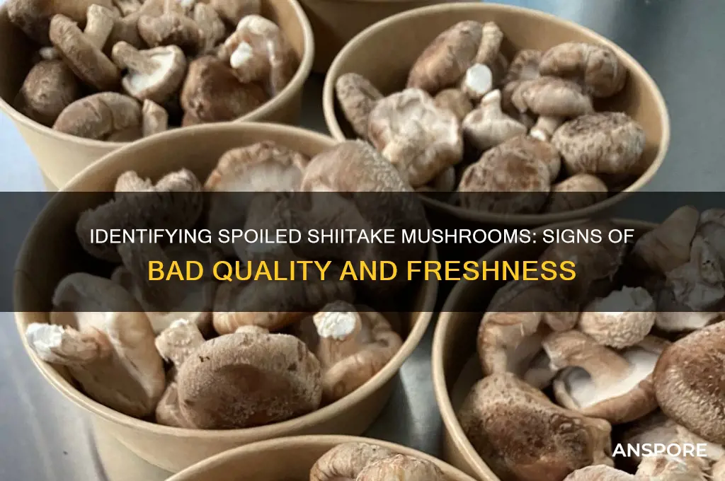 how can you tell if shitake mushrooms are bad