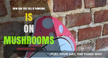 Spotting Mushroom Use: Key Signs and Behavioral Indicators to Watch