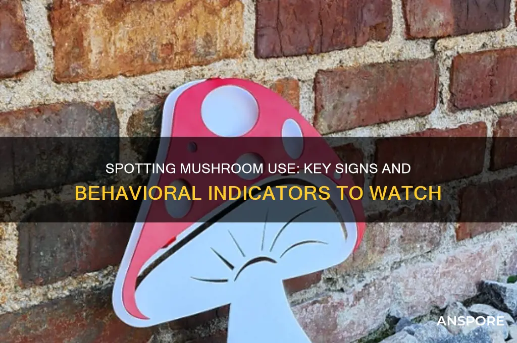 how can you tell if someone is on mushrooms