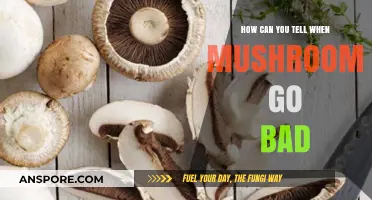 Spotting Spoiled Mushrooms: Signs Your Fungi Have Gone Bad