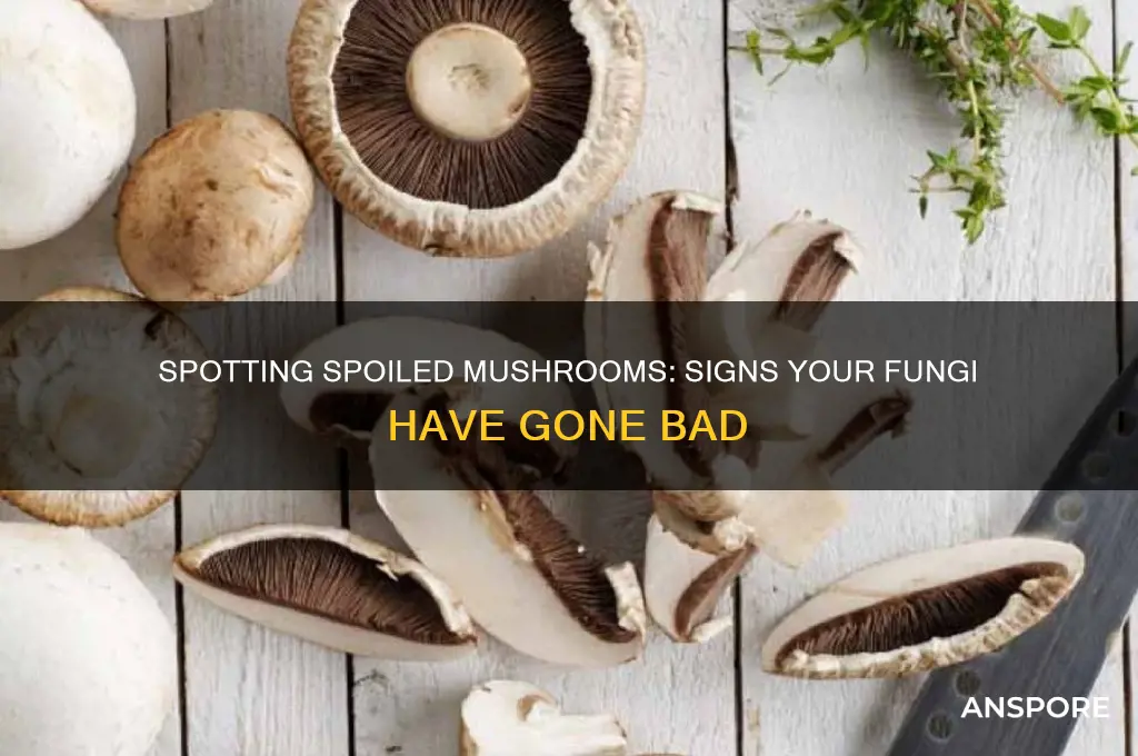 how can you tell when mushrooms go bad