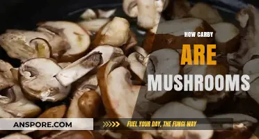 Mushrooms: Carb Content and Nutritional Facts