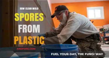 Effective Methods to Remove Mold Spores from Plastic Surfaces