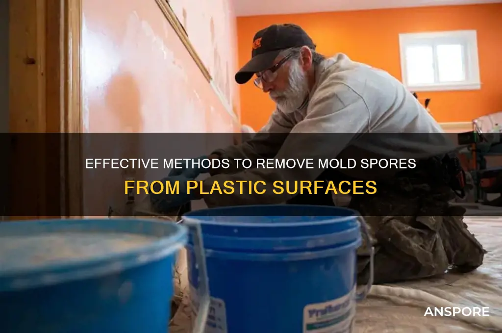 how clean mold spores from plastic