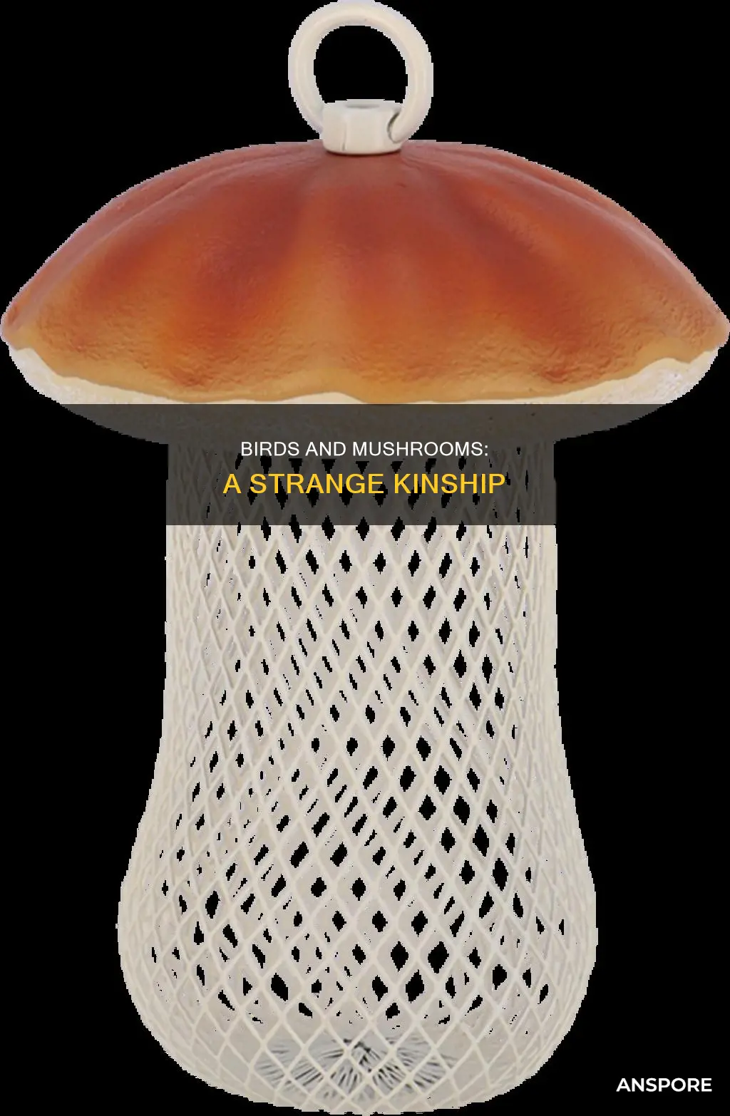 how close are birds to mushroom