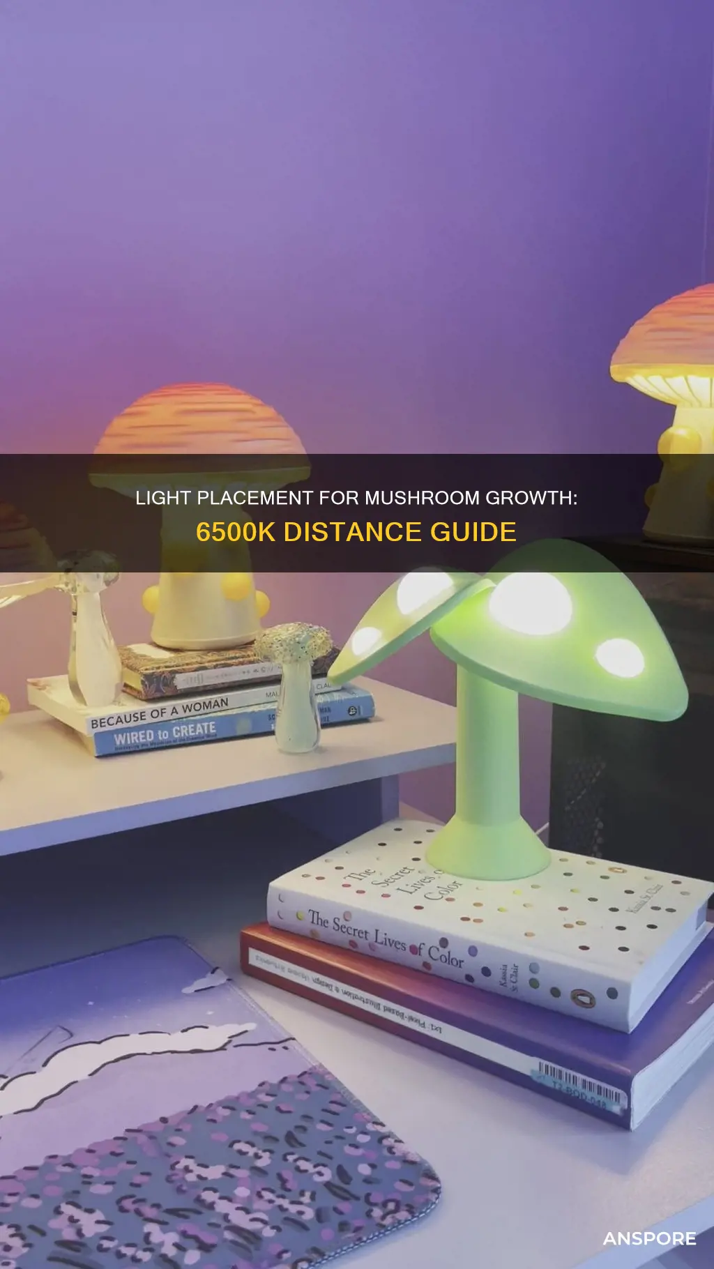 how close to put my 6500k light to mushrooms