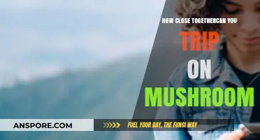 Tripping on Shrooms: How Close Is Too Close?