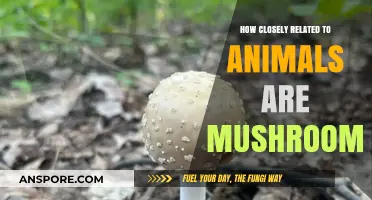 Mushrooms: Nature's Cousins or Distant Relatives?