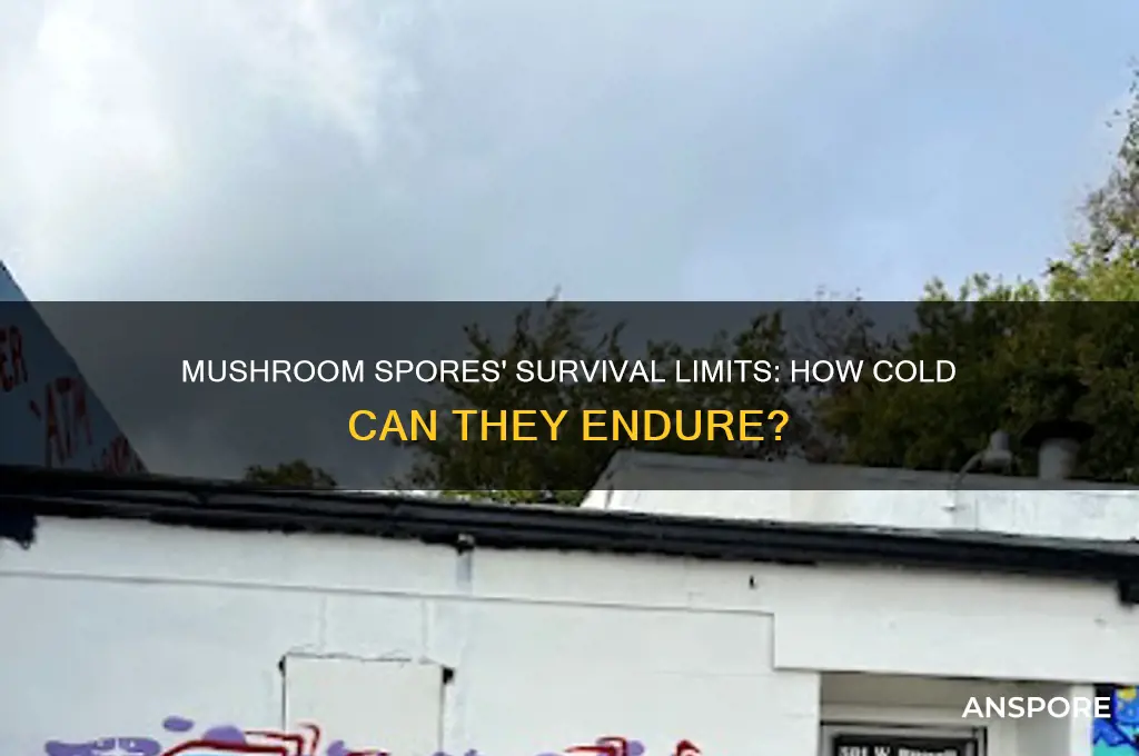 how cold can mushroom spores survive