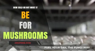 The Ideal Temperature Range for Mushrooms