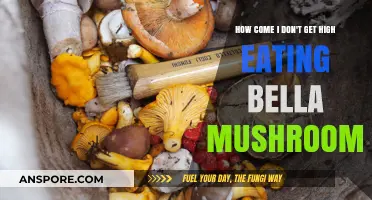 Why Eating Bella Mushrooms Won't Get You High: The Science Explained