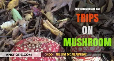 Understanding the Frequency of Negative Psychedelic Experiences with Mushrooms