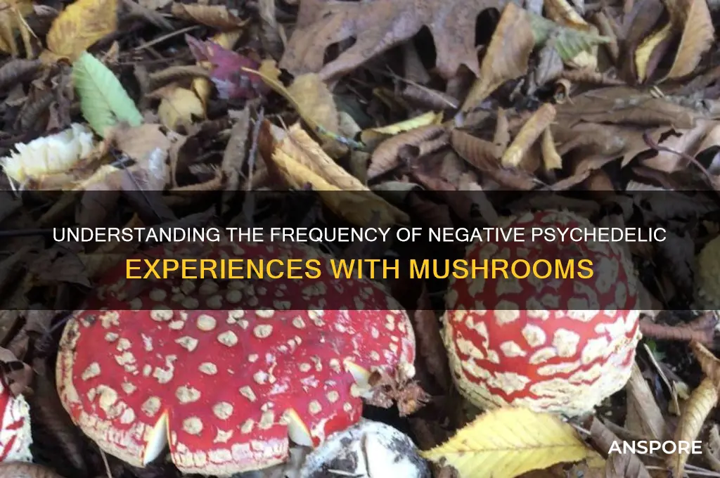 how common are bad trips on mushrooms