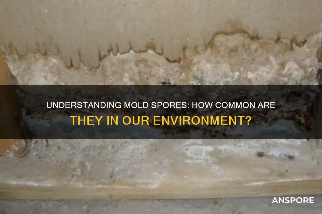 how common are mold spores