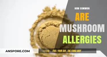 Mushroom Allergies: Are They Rare or Common?