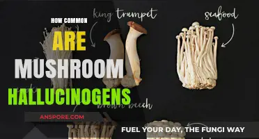 Magic Mushrooms: Hallucinogens and Their Prevalence