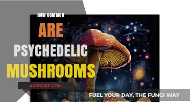 Psychedelic Mushrooms: Their Occurrence and Prevalence