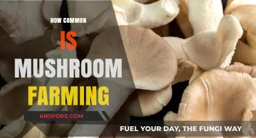 Mushroom Farming: A Popular and Growing Trend