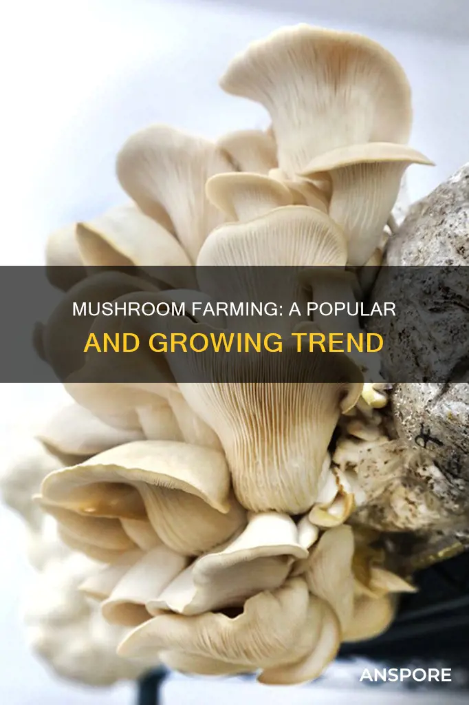 how common is mushroom farming