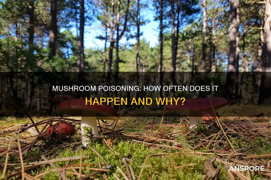 how common is mushroom poisoning