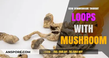 Breaking Free: Overcoming Mushroom-Induced Thought Loops