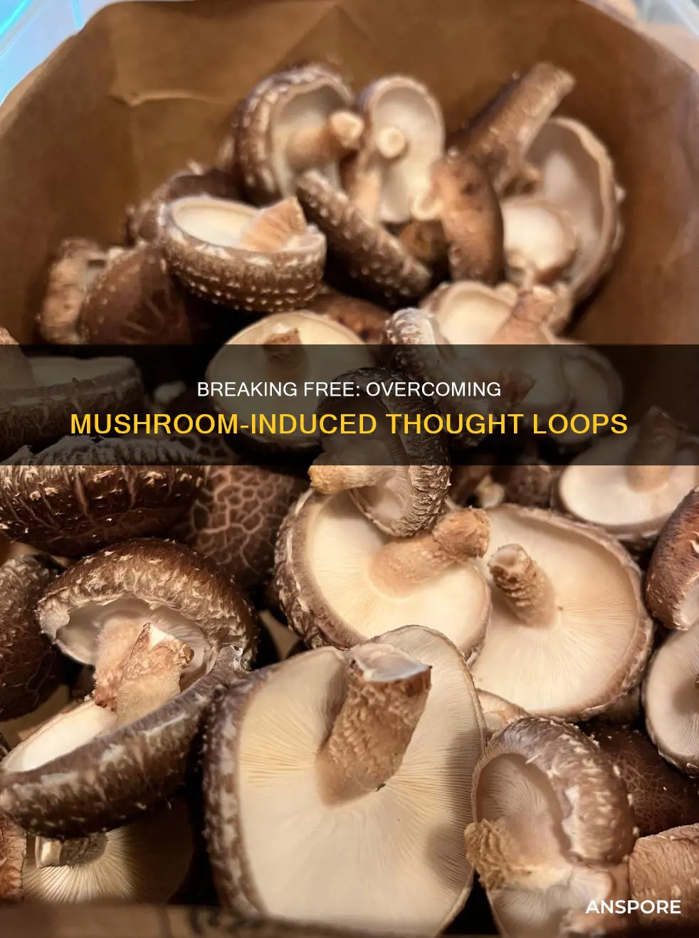 how commonvare thought loops with mushrooms