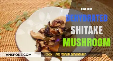 Revive Your Dishes: Mastering the Art of Cooking Dehydrated Shiitake Mushrooms