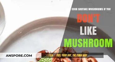 Transform Your Plate: Delicious Shiitake Recipes for Mushroom Skeptics