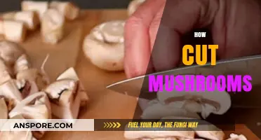 Cutting Mushrooms: The Right Way