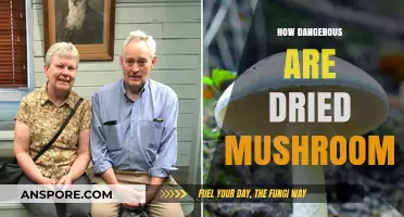 Dried Mushrooms: What's the Danger?