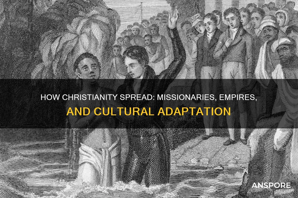 how ddi christianity sporead