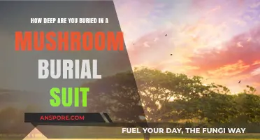 Mushroom Burial Suits: How Deep Do They Go?