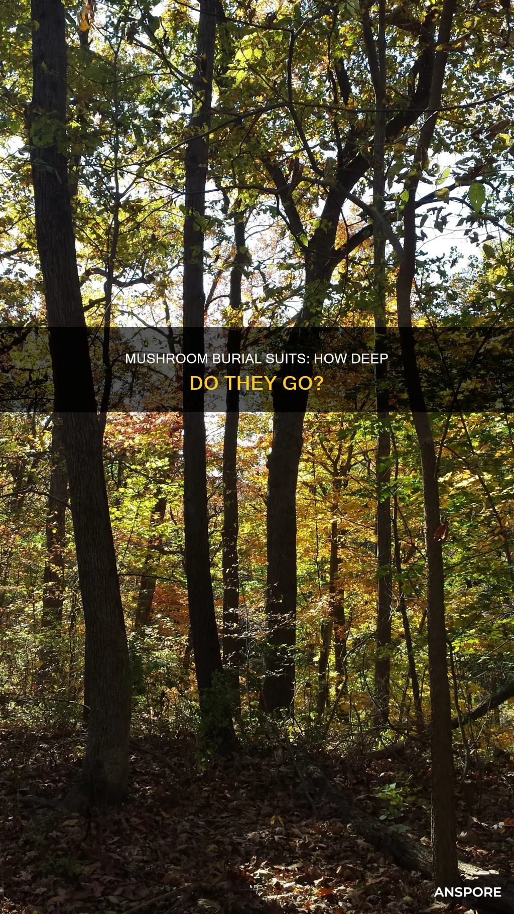 how deep are you buried in a mushroom burial suit