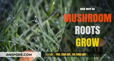 Exploring Mushroom Root Depth: How Deep Do They Grow?