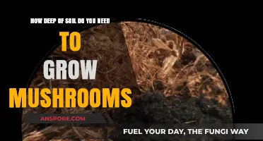 Optimal Soil Depth for Mushroom Cultivation: A Comprehensive Guide