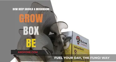 Optimal Depth for Mushroom Grow Boxes: A Comprehensive Guide