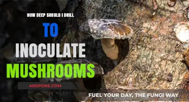 Drilling Depth for Mushroom Inoculation: How Deep is Deep Enough?