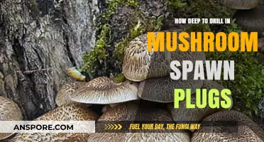 Drilling Depth for Mushroom Spawn Plugs: How Deep is Enough?