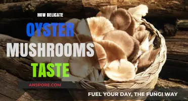 Delicate Oyster Mushrooms: A Tasty Treat