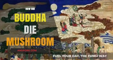 Buddha's Death: The Mushroom Mystery