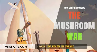 Finn's Survival: The Mushroom War Mystery